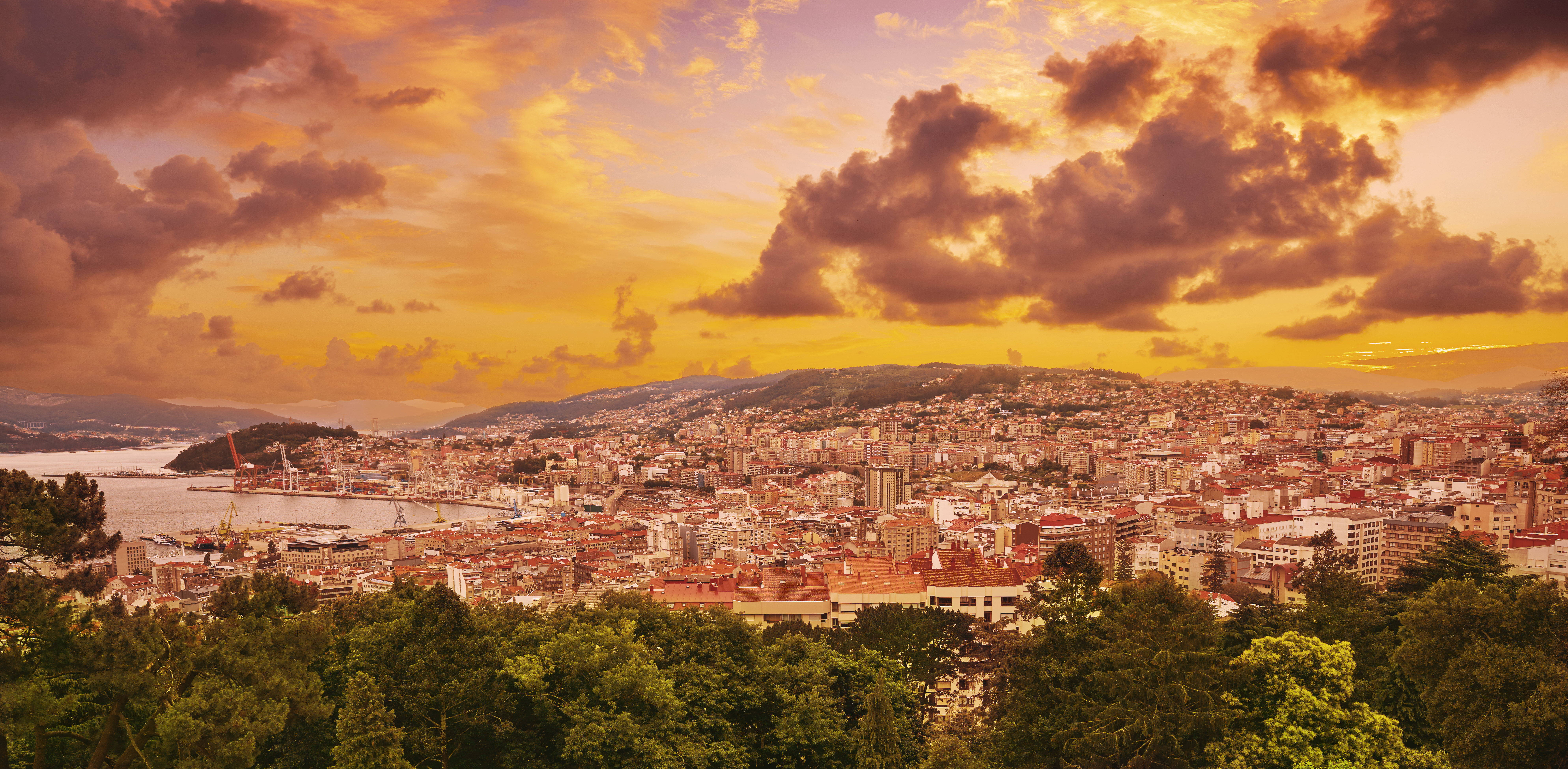 Vigo